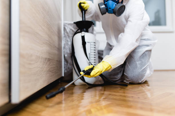 Pest Prevention Services in Greenfield, OH