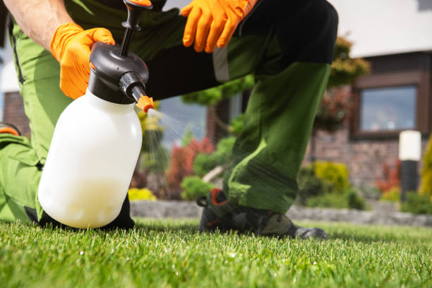 Trusted Greenfield, OH Pest Control Experts