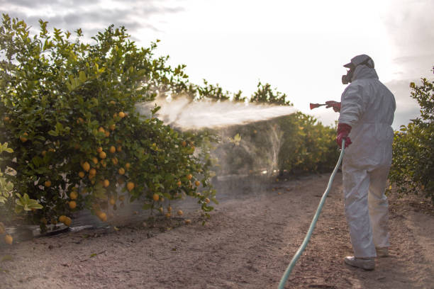 Best Insect Control  in Greenfield, OH