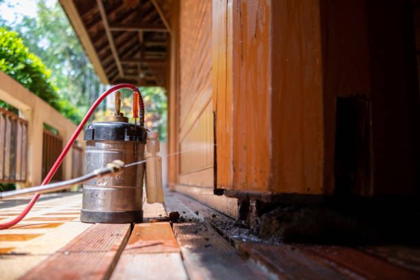 Best Mosquito Control Services  in Greenfield, OH