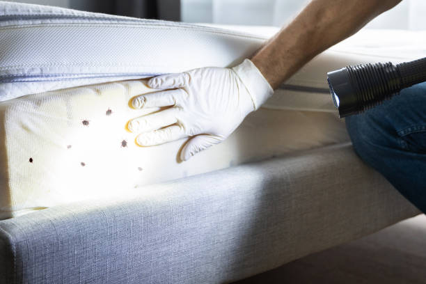 Best Exterminator Services  in Greenfield, OH
