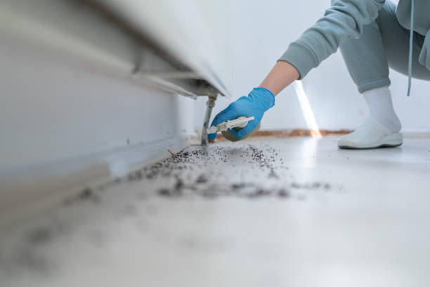 Best Residential Pest Control  in Greenfield, OH